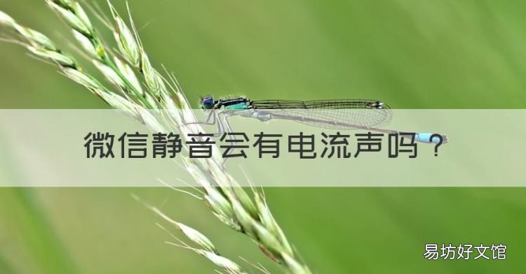 微信静音会有电流声,微信对方静音会有沙沙声吗