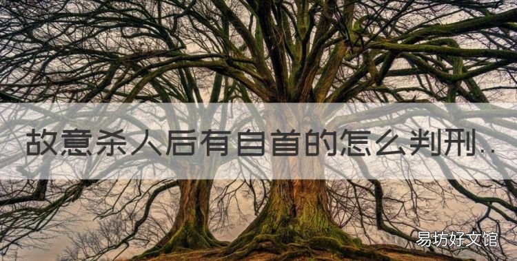 故意杀人自首怎么判刑,故意杀人后有自首的怎么判刑