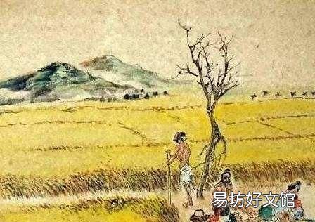 悯农其一，悯农是不是春天的古诗