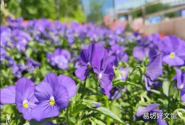 realme x青春版，这款“越级”配置的手机究竟有什么特别之处呢