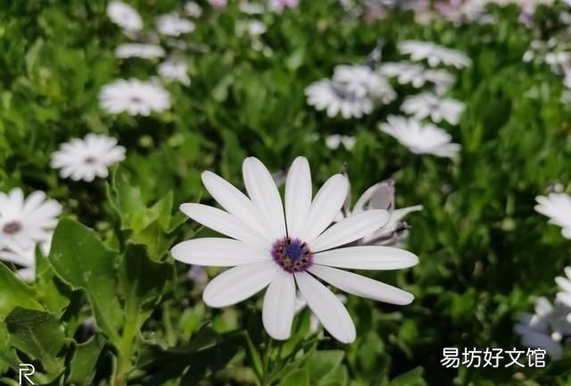 realme x青春版，这款“越级”配置的手机究竟有什么特别之处呢
