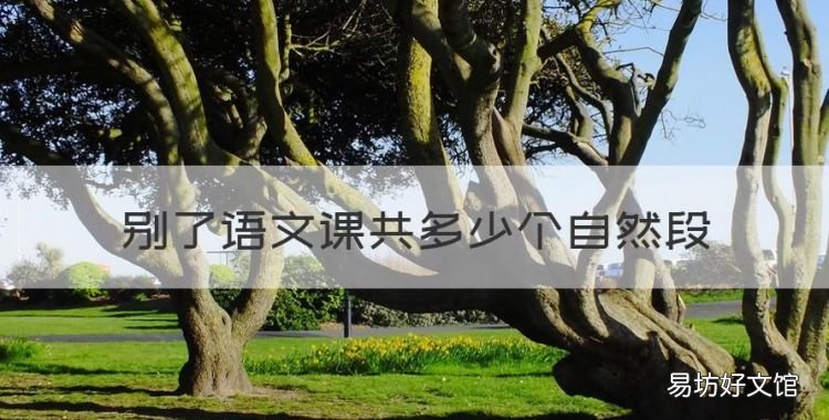 别了语文课共多少个自然段