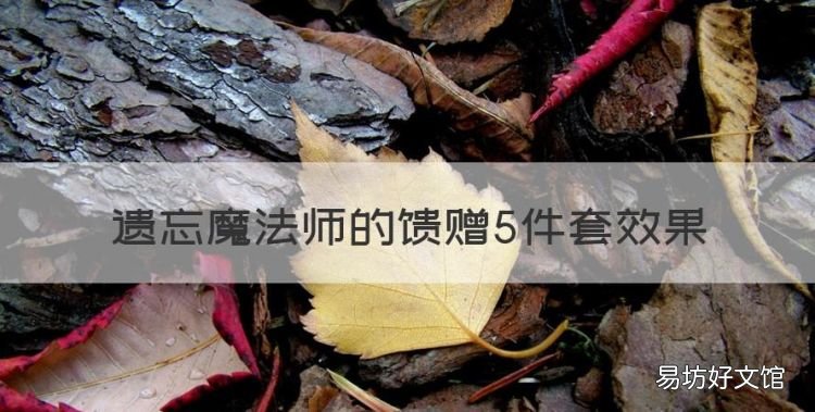 遗忘魔法师的馈赠5件套效果，魔兽世界怀旧服法师t套奥术师