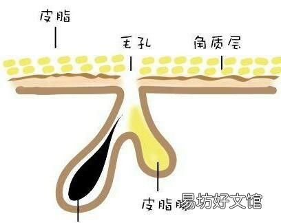 冬季美容护肤小窍门：冬季护肤小窍门