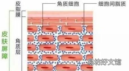 冬季美容护肤小窍门：冬季护肤小窍门