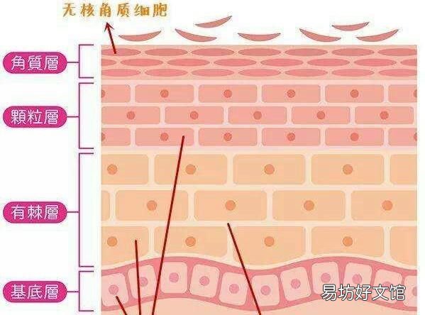 冬季美容护肤小窍门：冬季护肤小窍门