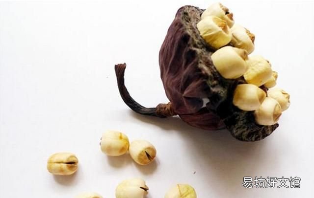 新鲜莲子心可以吃吗 九月份的老莲子能不能吃?