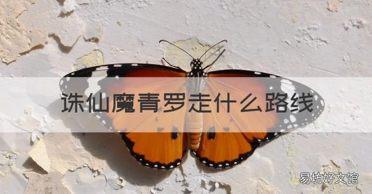 诛仙，诛仙魔青罗走什么路线