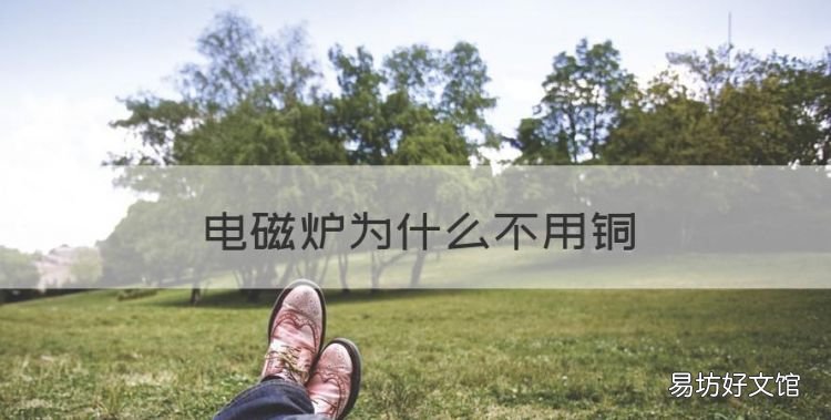 电磁炉为什么不用铜,电磁炉上只能用铁锅吗