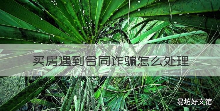 买房被骗怎么办心里崩溃,买房遇到合同诈骗怎么处理