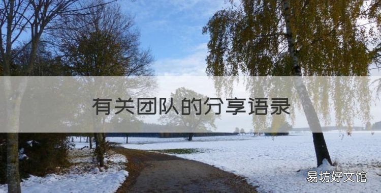 有关团队的分享语录,携手并进合作共赢的经典语录