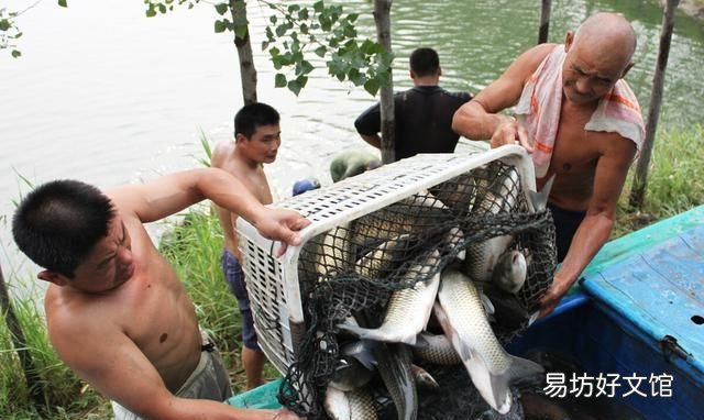 为什么有的鱼吃起来有土腥味