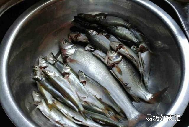 为什么有的鱼吃起来有土腥味