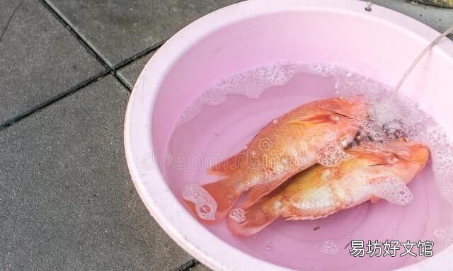 为什么有的鱼吃起来有土腥味