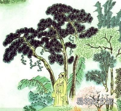 月字旁的字我发现了什么