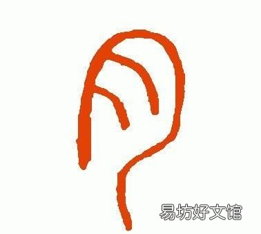月字旁的字我发现了什么