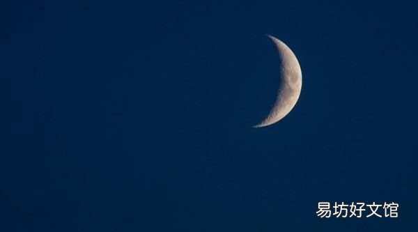 月字旁的字我发现了什么
