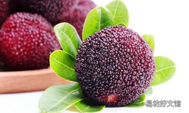 为什么盐水可以泡出杨梅里面的虫子