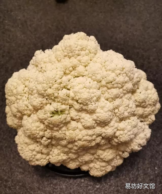 花菜和菜花是一种菜吗