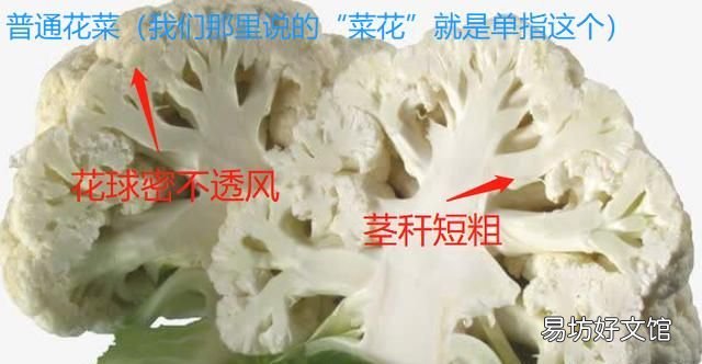花菜和菜花是一种菜吗