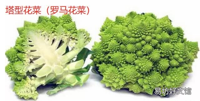 花菜和菜花是一种菜吗