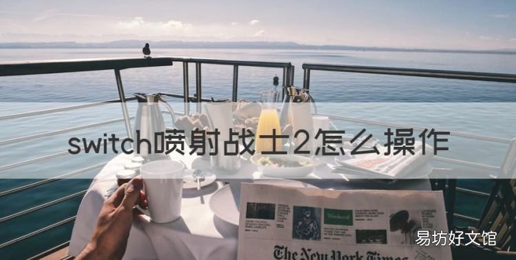 switch喷射战士2怎么操作