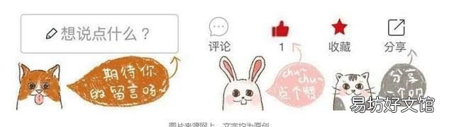 所有的蜥蜴都能自断尾巴吗 蜥蜴为什么会自断尾巴
