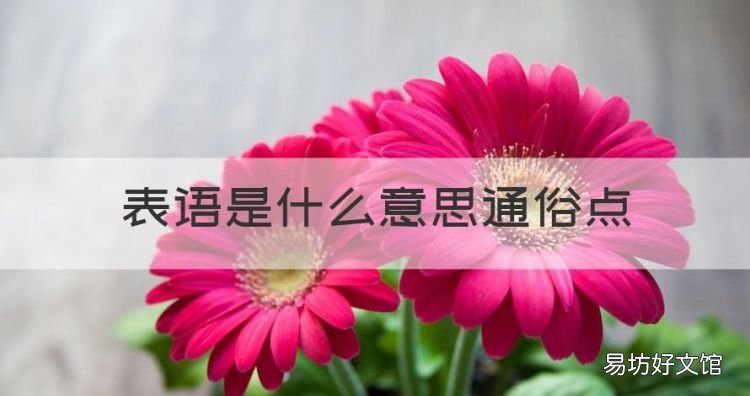 什么是系动词和表语,表语是什么意思通俗点