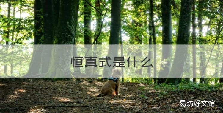 恒真式是什么,abel恒等式证明