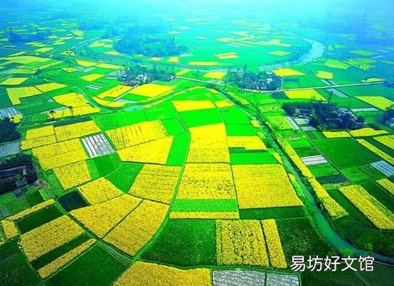 诸葛亮是怎么死的:三国时期诸葛亮吃的稻米从哪里来?