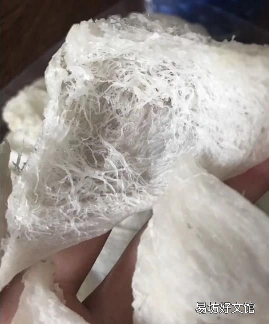 如何区分燕窝真假 如何挑选燕窝?