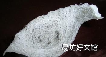 如何区分燕窝真假 如何挑选燕窝?