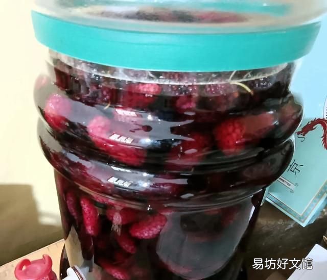 桑葚泡酒之后能吃吗 清洗桑葚酒的方法有哪些?