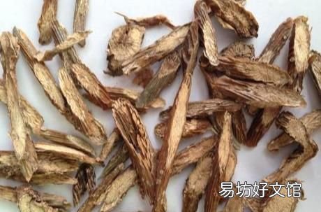 伸筋藤，中华青牛胆又名宽筋藤，生长于林地、山坡、丛林岩石地