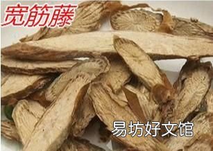 伸筋藤，中华青牛胆又名宽筋藤，生长于林地、山坡、丛林岩石地