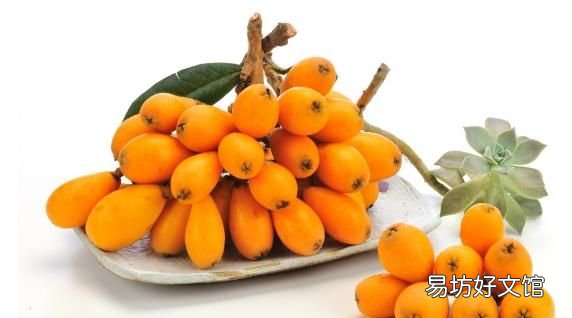 自制枇杷膏如何保存久一点
