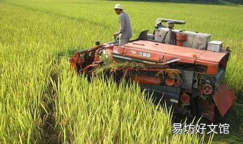 秋分节气农事有什么显著的特点