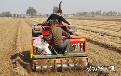 秋分节气农事有什么显著的特点