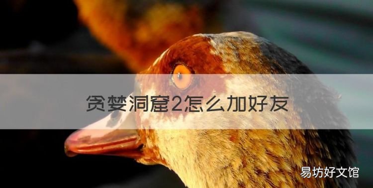 贪婪洞窟2怎么加好友,贪婪洞窟2攻略大全攻略技巧汇总