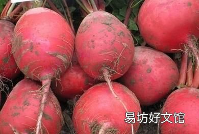 吃红萝卜对身体有哪些好处