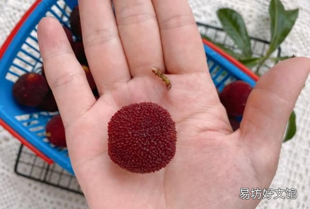 6月一定要泡一罐杨梅酒,经典配方,开胃消暑抗氧化,保存时间久