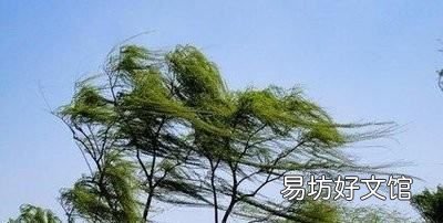 仿写句子练习,三年级仿写句子训练题及答案