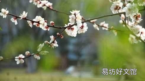 绝句志南,读完志南和尚的《绝句》,你领悟了什么