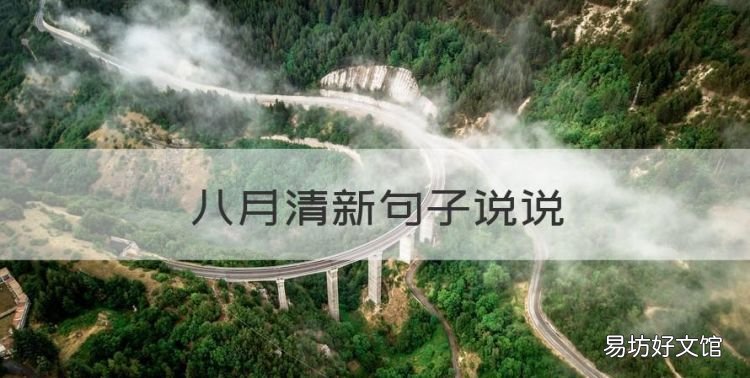 八月清新句子说说,关于八月的唯美说说