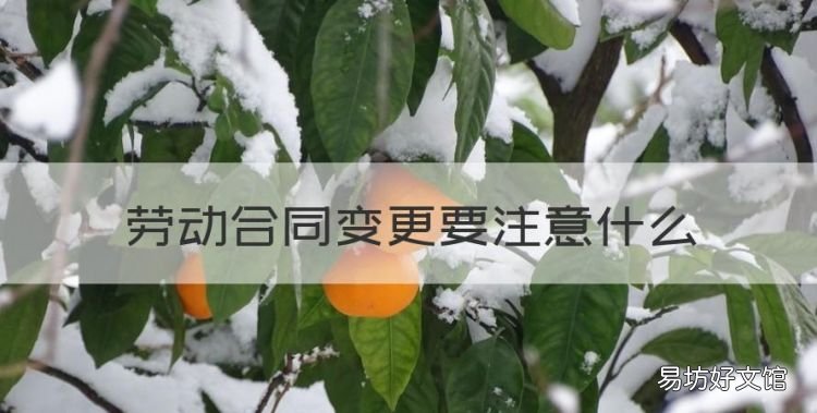 劳动合同变更要注意什么,劳动合同变更注意事项有哪些