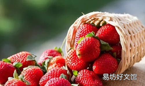 草莓怎样清洗才能吃