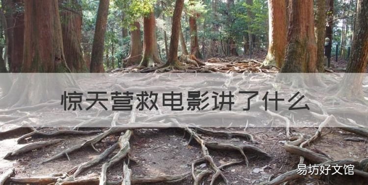 惊天营救电影讲了什么,惊天营救2电影在线完整免费观看高清