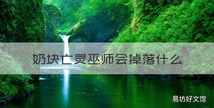 唐僧的法杖介绍,奶块亡灵巫师会掉落什么