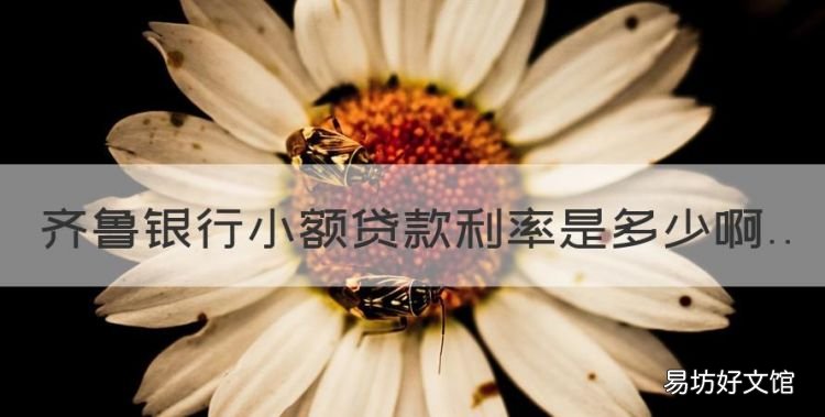 齐鲁银行小额贷款利率是多少,小额贷款一般利息多少算合理