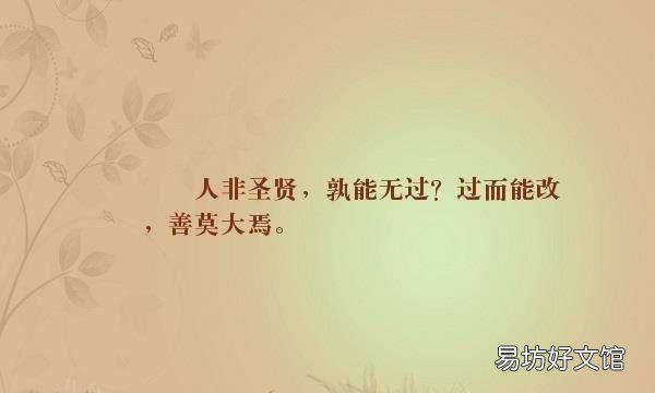 人非圣贤孰能无过